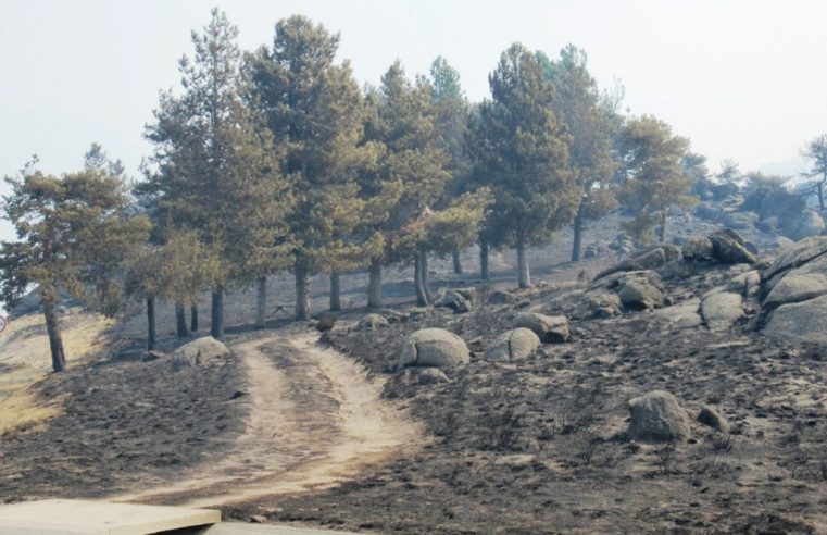 Programa de Revitalização da Serra da Estrela com pacote de 40 milhões de euros