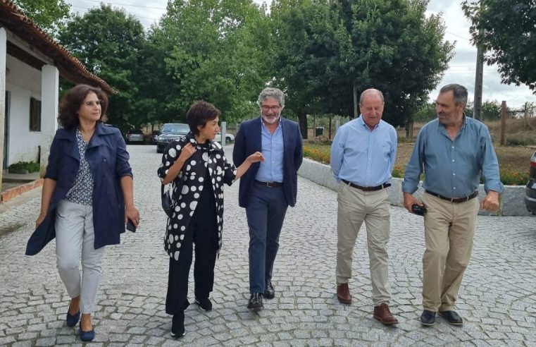 Autarca de Oliveira do Hospital quer que ajudas do “Pedido Único” cheguem a mais agricultores