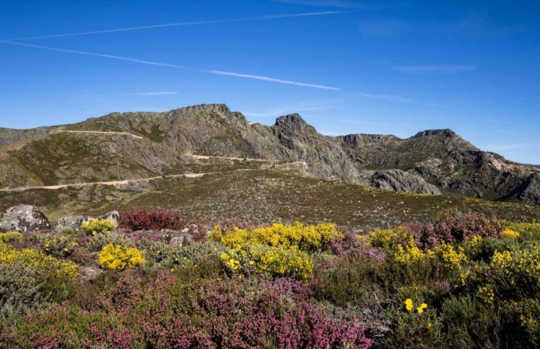 Guardiãs da Natureza precisam-se na Serra da Estrela
