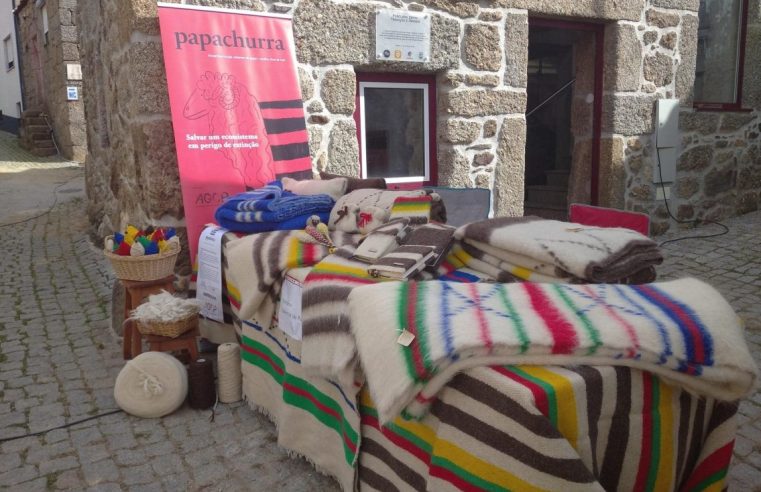 Habitantes de Maçainhas desafiados a exibir cobertor de papa à janela