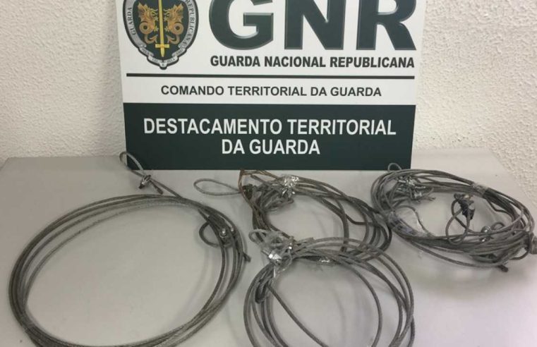 GNR apreende em Seia quatro laços de caça ilegal