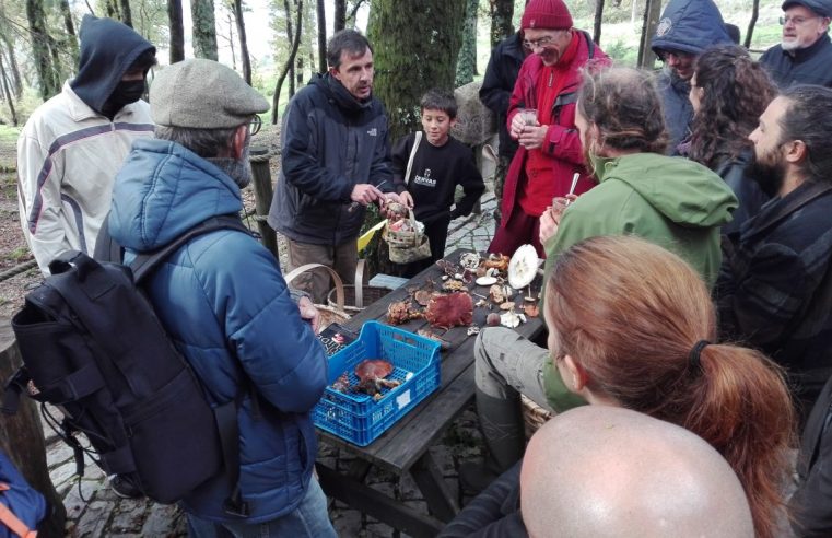 CERVAS promove saída de campo para identificação de cogumelos