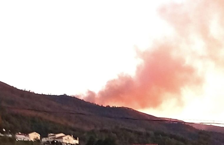 Incêndio lavra na Serra da Estrela