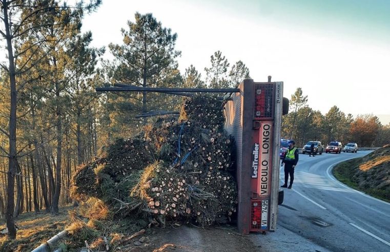 Despiste de camião na EN231 provoca um ferido