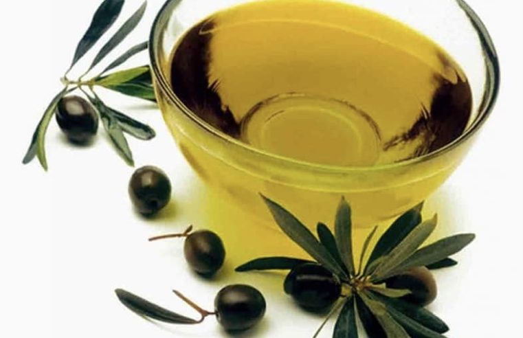 Oliveira do Hospital recebe simpósio internacional sobre a fileira do azeite