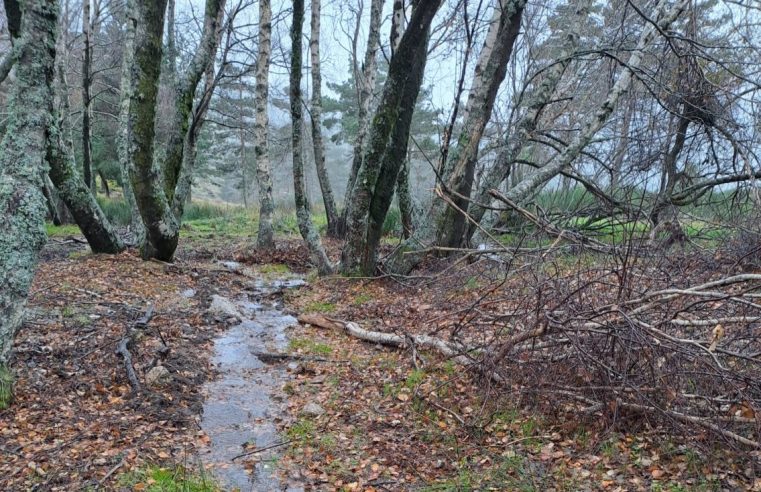 Descargas de efluentes obrigam ICNF a suspender Parque de Campismo do Vale do Rossim