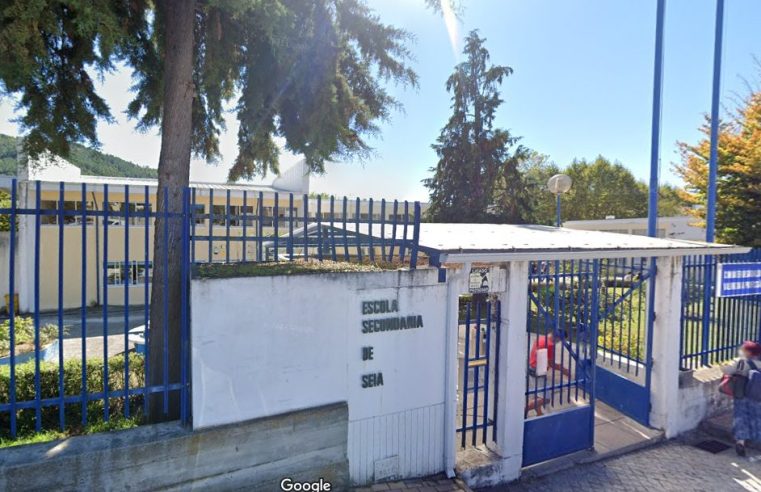Escola Secundária de Seia “está a afundar”