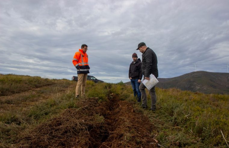 Serra do Açor reflorestada com 1,1 milhão de árvores