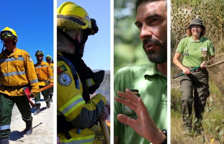 Queres ser Vigilante da Natureza ou Sapador Bombeiro Florestal? ICNF abre concursos para todo o país