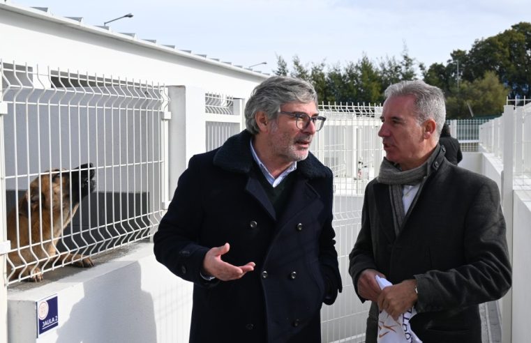 Oliveira do Hospital já tem Centro de Recolha Animal