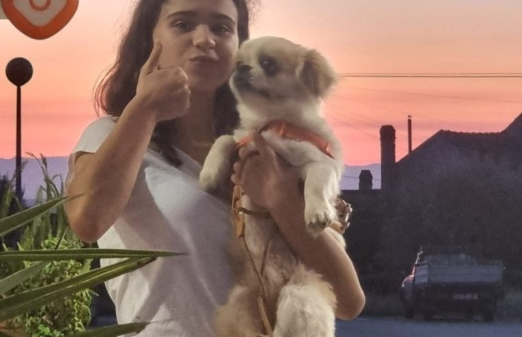 Apelo da família da Mariana: “ajudem a encontrar o Ben”