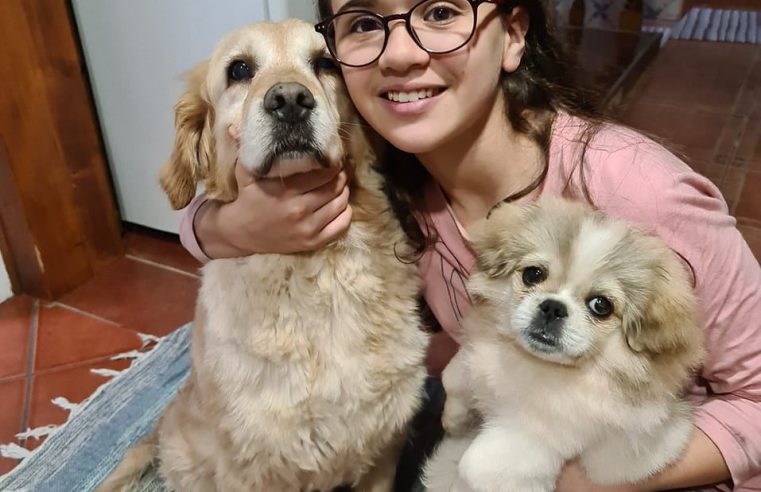 Cão da Mariana já apareceu em Paranhos da Beira