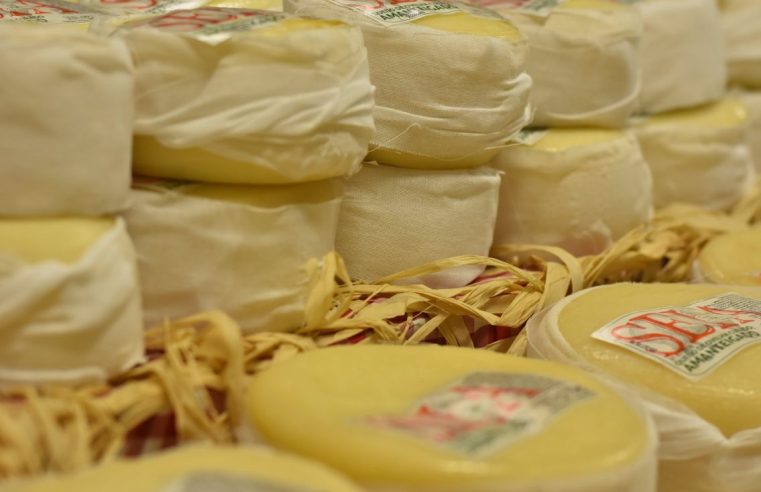 Seia abre ciclo de feiras do Queijo Serra da Estrela