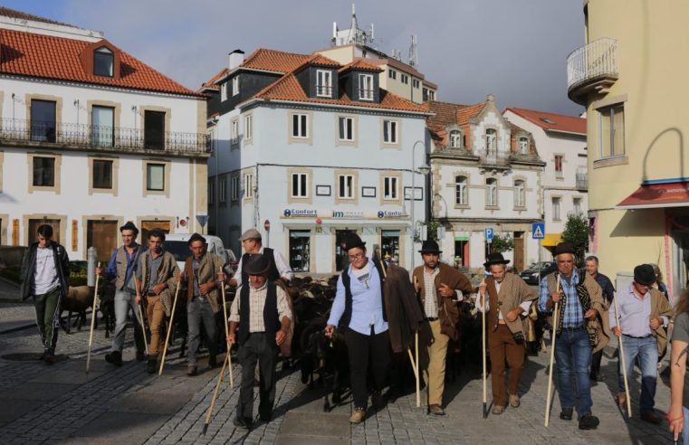Câmara de Seia entrega apoios a pastores da “Festa da Transumância”