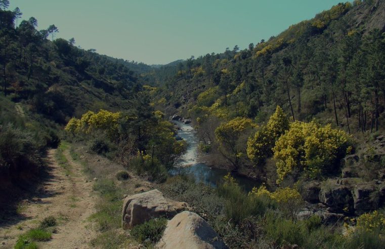 Barragem de Girabolhos divide leitores do Seia Digital: medo da perda de neve, dúvidas sobre cheias e exigência de contrapartidas