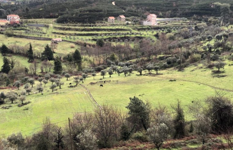 “Interior + Digital” promove zonas rurais em territórios de montanha