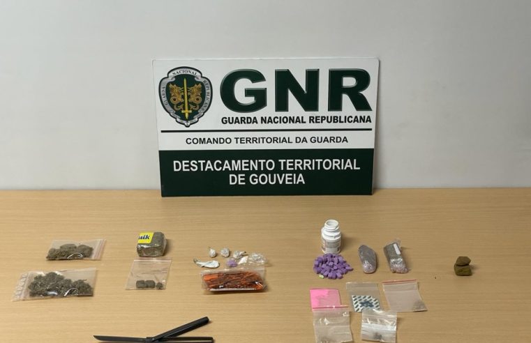 GNR deteve oito pessoas em Seia em operação de prevenção criminal