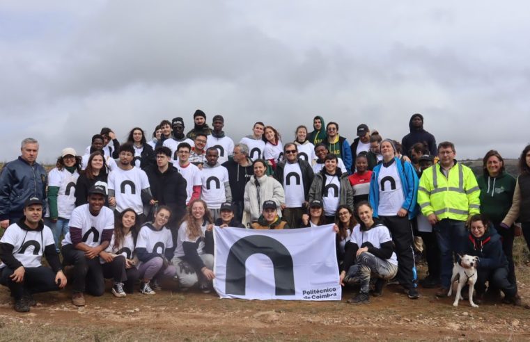 Politécnico de Coimbra plantou mais de 1700 árvores na Serra da Estrela