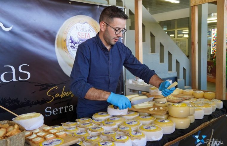Mercado do Queijo em Gouveia valoriza produtos endógenos da Estrela