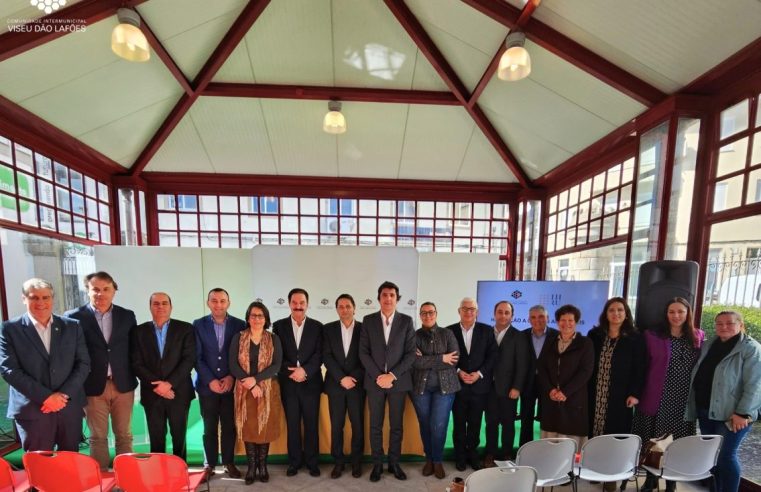 Nelas com 6,1 milhões de euros para habitação a custos acessíveis