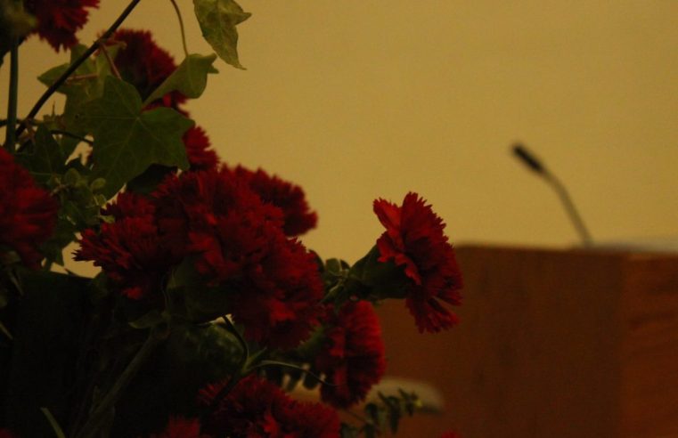 Seia celebra Revolução dos Cravos