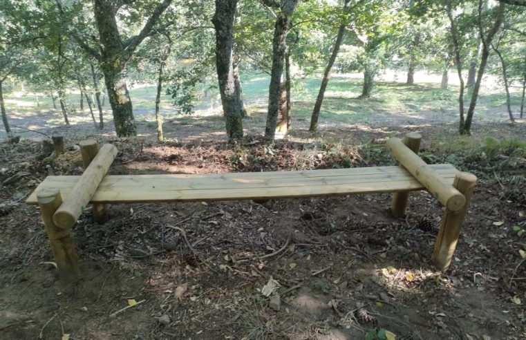 Mata do Desterro acolhe Caniltrail com fiel amigo