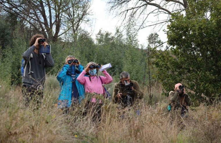 Serra da Estrela recebe atividade de observação de aves no EuroBirdwatch 2025
