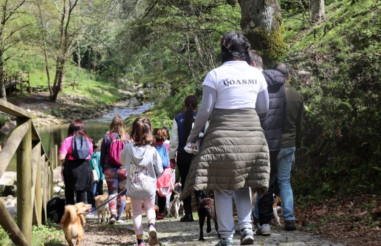 Caniltrail está de regresso à Senhora do Desterro