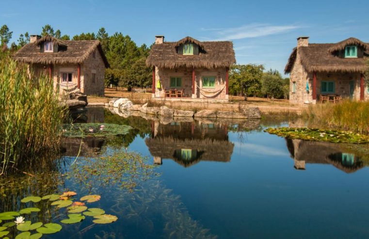 Chão do Rio promove Dia Aberto dedicado à Floresta