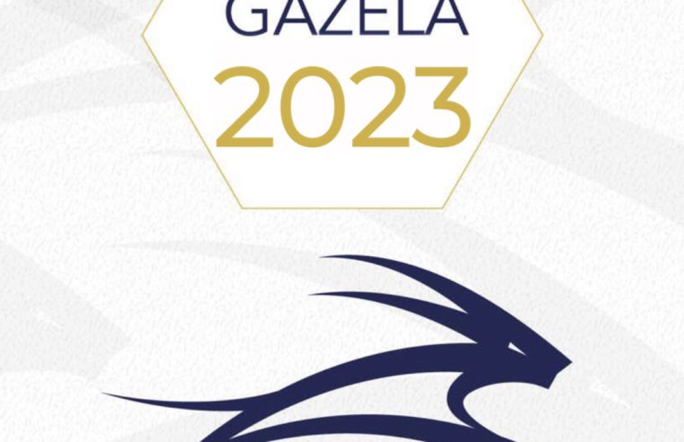 Região Centro regista o maior número de empresas Gazela dos últimos 12 anos
