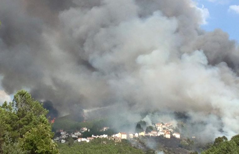 Rotários juntam especialistas para debater “Incêndios na Serra da Estrela”