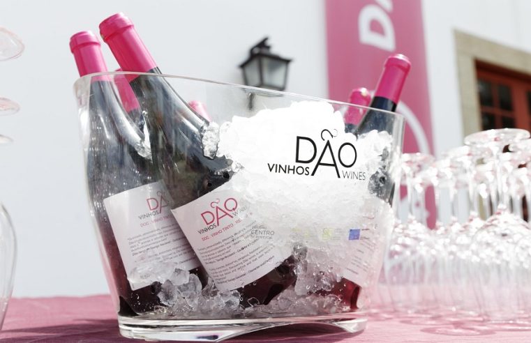 Feira do Vinho em Nelas regressa numa verdadeira celebração do património vitivinícola, cultural e gastronómico do Dão