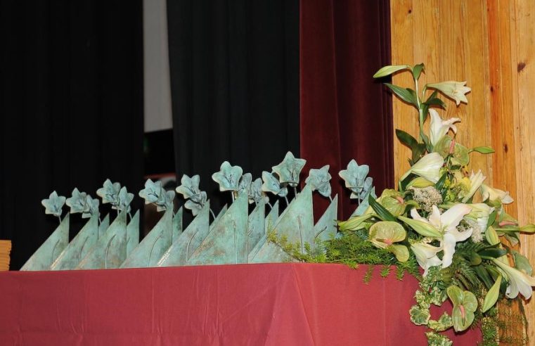 Câmara de Seia distingue Ricardo Ribeiro, Fátima Oliveira, Tiago Costa, Bombeiros de Seia e Grupo Desportivo Loriguense