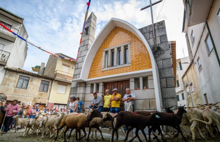 Romaria das Ovelhas na Festa de Santo António em Arcozelo da Serra