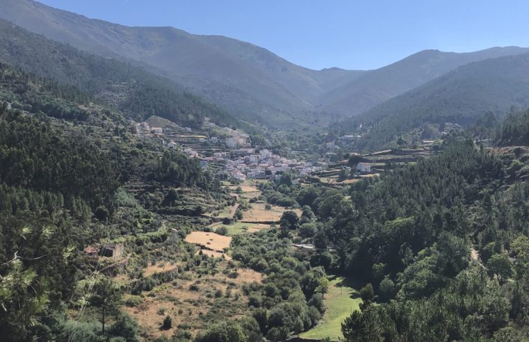 Urze vai tornar territórios de Seia e Gouveia mais resiliente aos incêndios