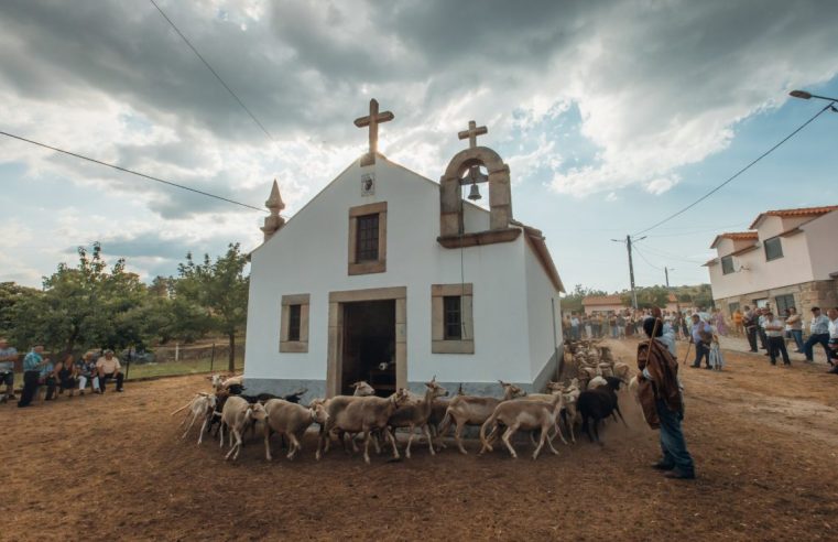 Bênção dos Rebanhos em Vila Franca da Serra