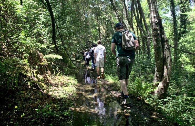 Geopark promove Semana de Campo na Serra da Estrela
