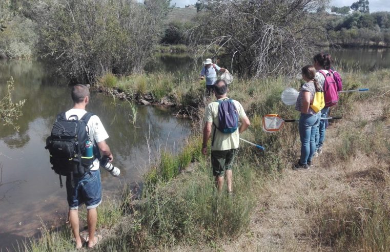 Gouveia promove Saída de Campo no âmbito da Biodiversidade das Lagoas
