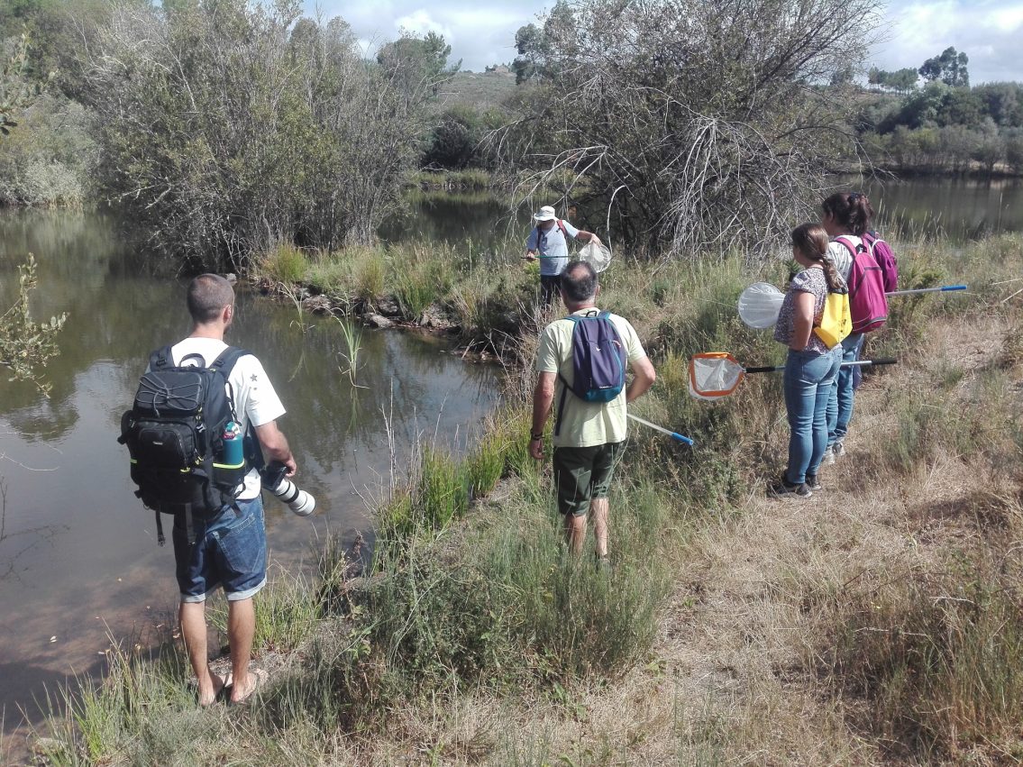 Gouveia promove Saída de Campo no âmbito da Biodiversidade das Lagoas