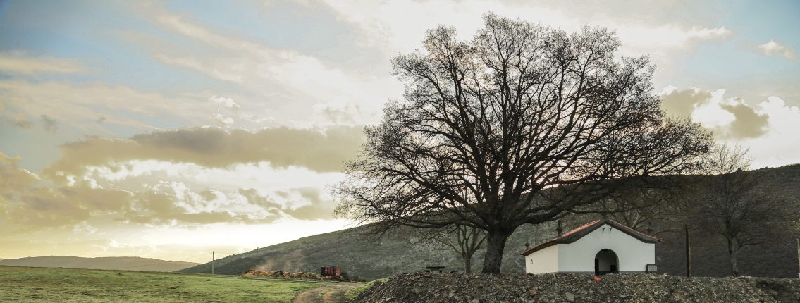 Autarcas do Parque Natural da Serra da Estrela constituem Associação de Municípios