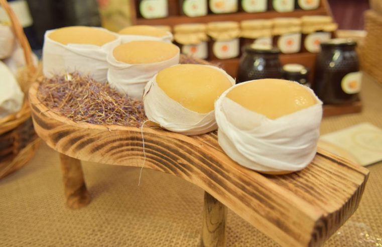 Investigadores querem proteger qualidade do Queijo Serra da Estrela