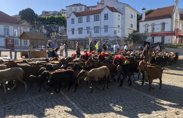 Transumância da Serra da Estrela inscrita no Património Cultural Imaterial Nacional