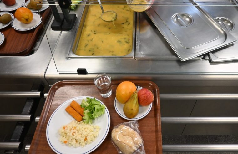 Câmara de Oliveira do Hospital investe 700 mil euros em refeições escolares