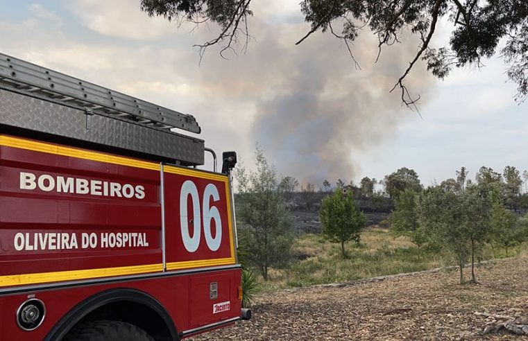Incêndio atravessa Mondego e obriga a evacuar quintas em Oliveira do Hospital