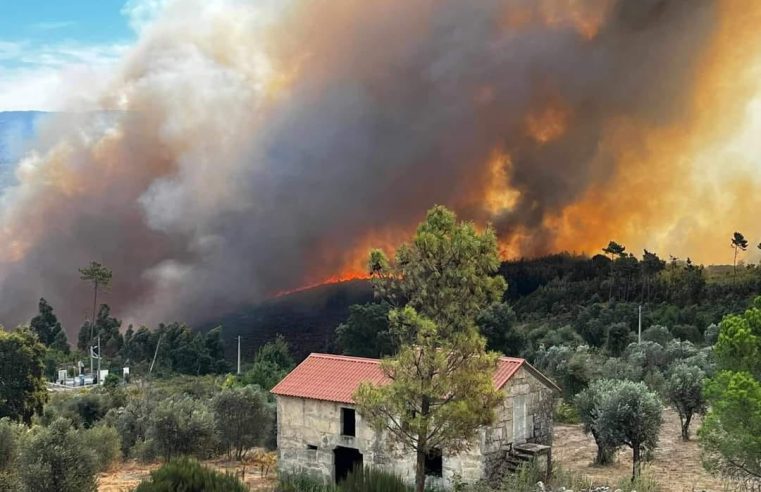 Incêndio de Nelas em resolução. Chamas dominadas em Mangualde