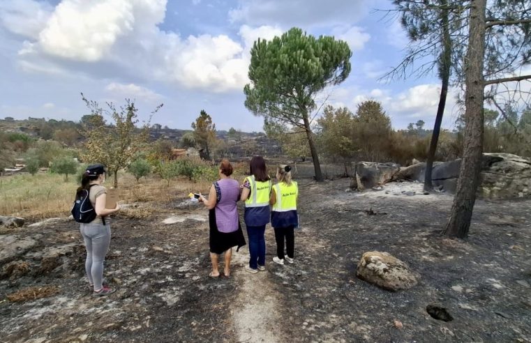 Incêndios em Nelas causaram prejuízos de 1,5 milhões de euros