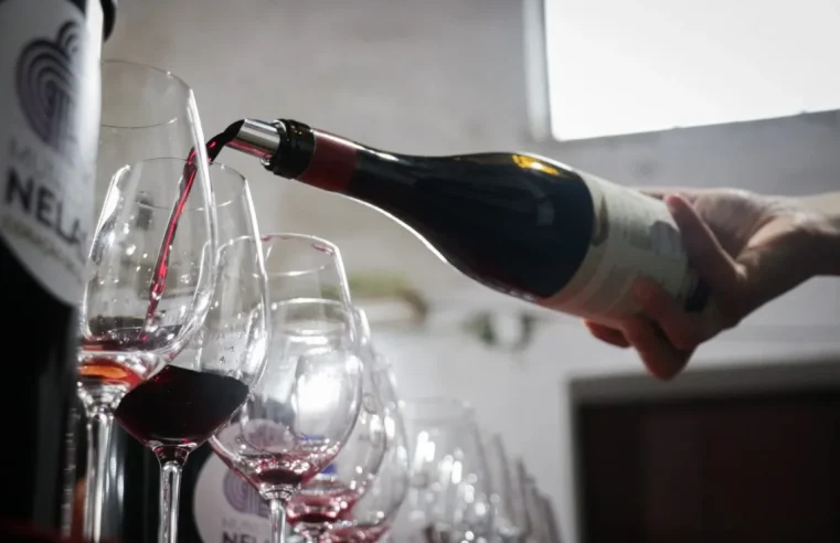 Feira do Vinho do Dão em Nelas reúne 39 produtores