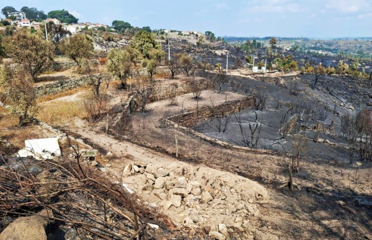 Nelas contabiliza danos e prejuízos dos incêndios