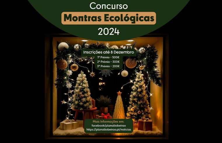 Concurso Montras Ecológicas de Natal dá prémios
