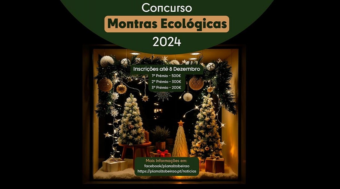 Concurso Montras Ecológicas de Natal dá prémios